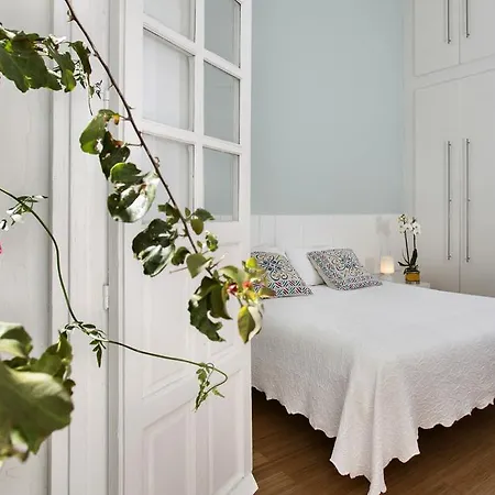 En Casco Antiguo - Cerca De La Playa